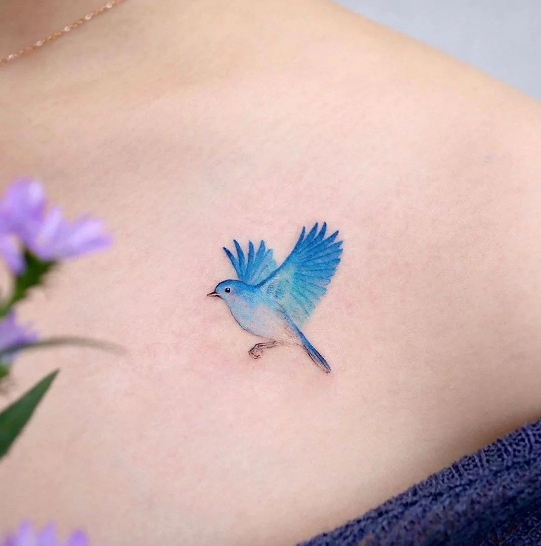 Bird