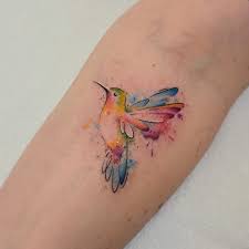 Hummingbird