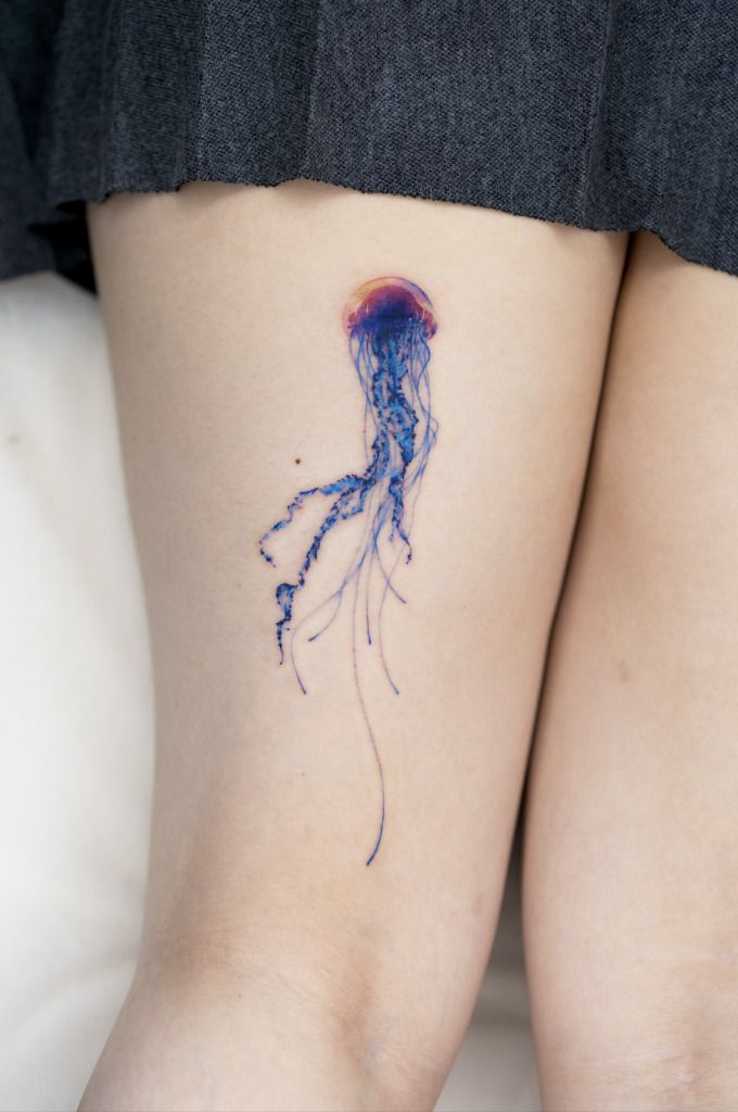 Jellyfish