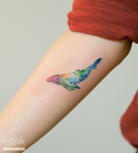 Whale